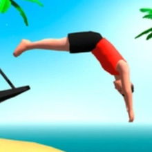 Play Water Flip Online