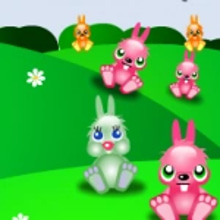 Play Rabbit teloporter Online