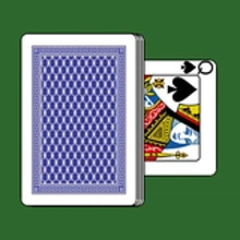 Play Durak Throwaway Online