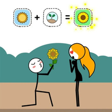 Play Alchemy Puzzle Online