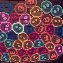 Play Jelly Well Online