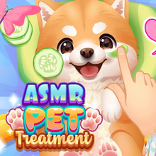 Play ASMR Pet Treatment Online