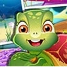Play Turtle Care Online