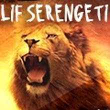 Play Lif Serengeti Online