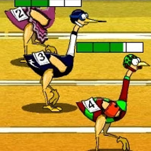 Play Big Birds Racing Online