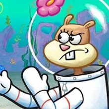 Play Sandy Cheeks Memory Online