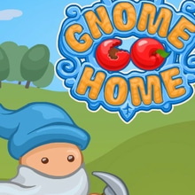 Play Gnome Go Home Online