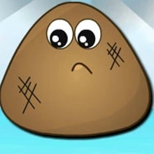 Play Cover Pou Summer Online