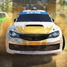 Play Real Rally Revenge Online