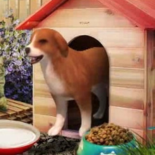 Play Perfect Companions Online