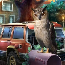 Play Visit to Owl Street Online