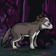 Play Look after the wolf Online