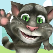 Play Talking Cat Box Adventure Online