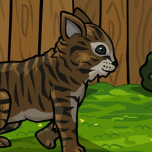 Play Look after the kitty Online