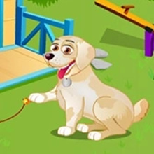 Play Pet House Story Online
