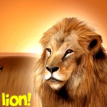 Play Wild Life Lion Online