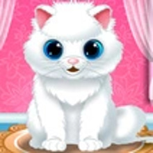 Play Baby Kitten Care Online