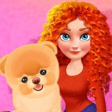 Play Merida Pet Care Saloon Online