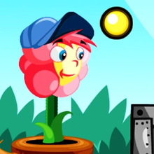 Play Flower Rush Online
