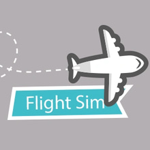 Play Flight Sim Online