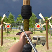 Play Archery Expert 3D Online