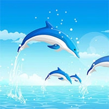 Dolphin Cup
