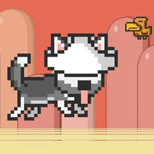 Play Mr Jump Husky Online