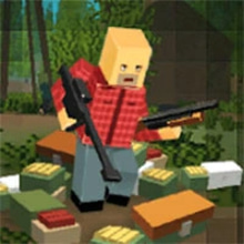 Play World Z Minecraft Online