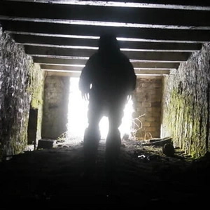 Zombie Apocalypse Tunnel Survival