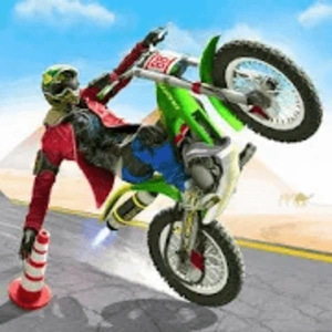 Two Bike Stunts