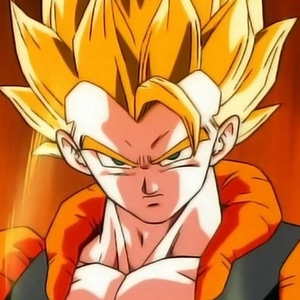 Dragon Ball Fierce Fighting 2.3