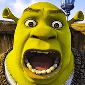 Shrek Fun