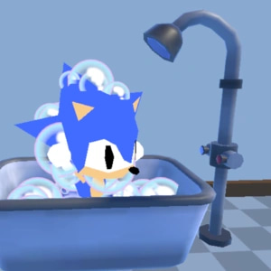 Sonic S