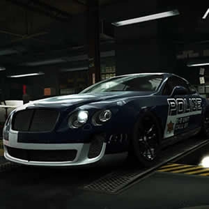 Bentley Police Puzzle