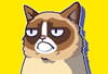 Play Grumpy Cat Runner Online