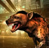 Play Hyena Simulator 3D Online