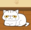 Play My favourite pets Online