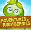 Play Adventures of Juicy Berries Online