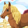 Play Look after the pony Online