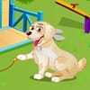 Play Pet House Story Online
