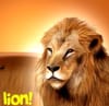 Play Wild Life Lion Online