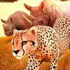 Play Wild Animal Zoo City Simulator Online