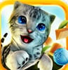 Play Cat Simulator: Kitty Craft Online