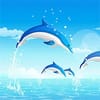 Play Dolphin Cup Online
