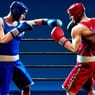 Play Punchers