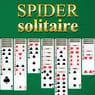 Play Spider Solitair Online
