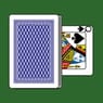Play Durak Throwaway Online