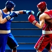 Play Punchers Game Free