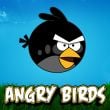 Play Angry Birds Bombing Game Free