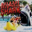 Play Miami Shark Game Free